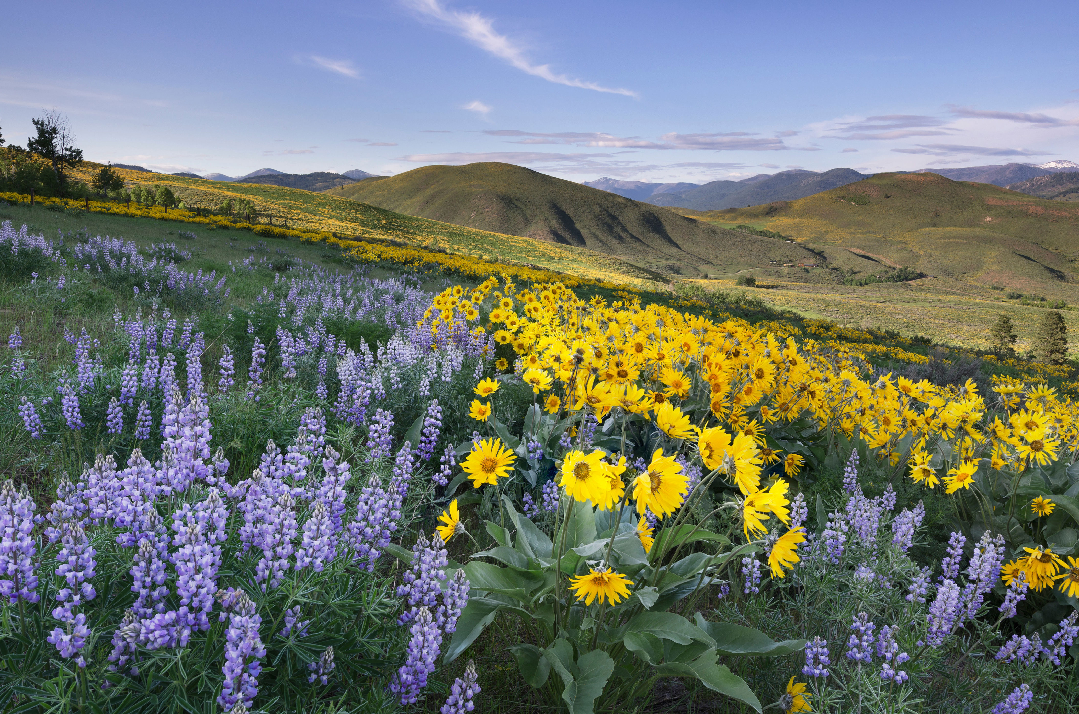 The 25 Best National Parks in the US, From Acadia to Yellowstone