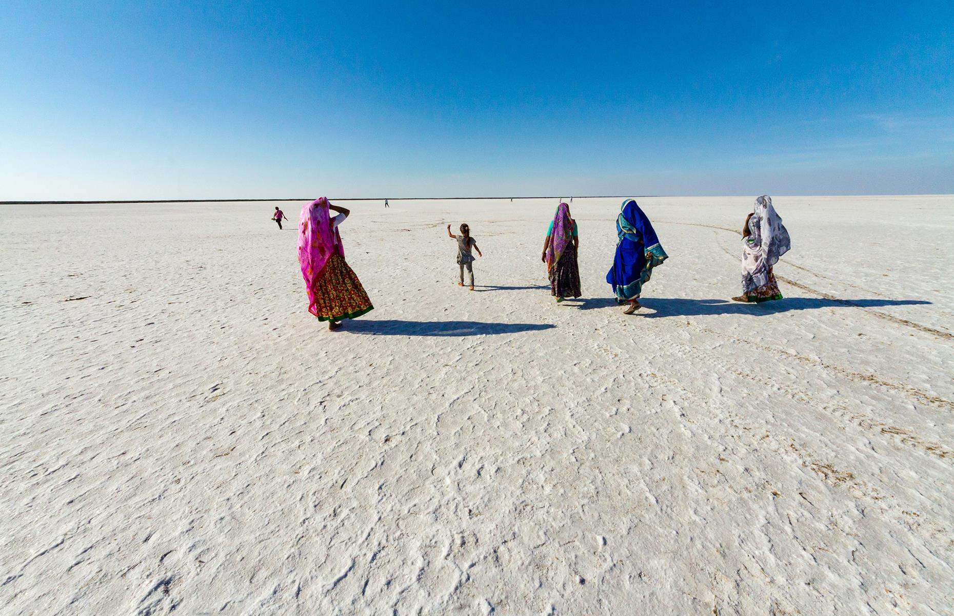 <p>The seemingly endless expanse of salty and marshy land in the Thar Desert is a surreal sight. This desolate wilderness stretches to Pakistan from the northwest of Gujarat.</p>  <p>Part of it is a salt marsh and wildlife sanctuary called Little Rann of Kutch, which is home to the Asiatic wild ass – known locally as ghorkhur – as well as wolves and flamingos.</p>