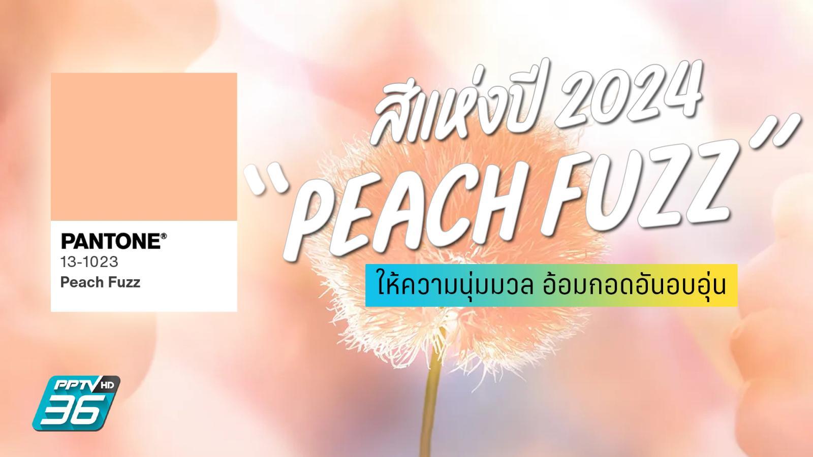 Pantone 2024 Peach Fuzz   AA1lbaiD.img