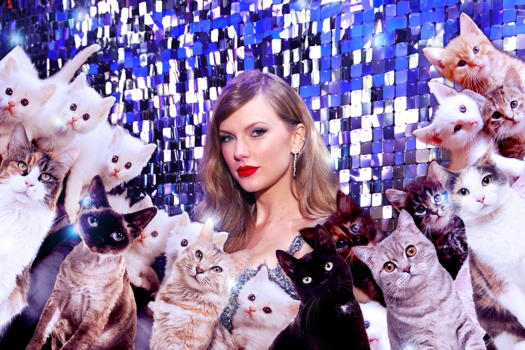 Taylor Swift gets it: Cats are better than (some) men