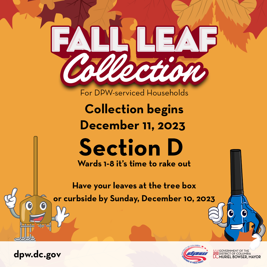 DC Leaf Collection Continues. Fort Lincoln