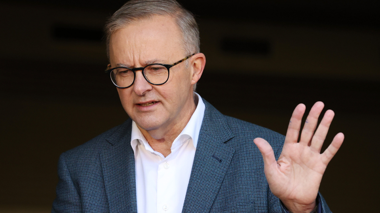 ‘diabolical’: polling reveals ‘shocking’ report card for anthony albanese
