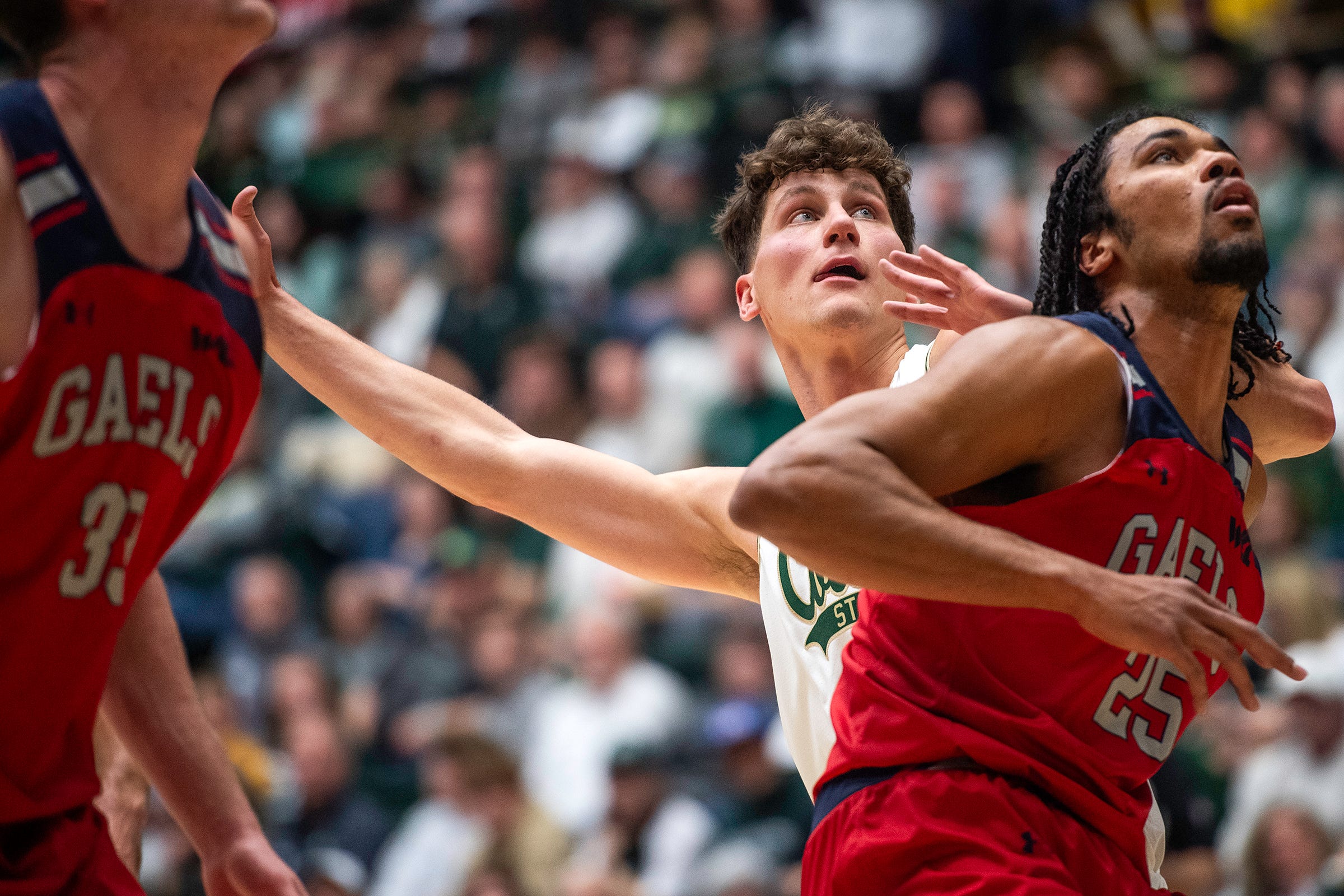 3 Takeaways: No. 17 Colorado State Men's Basketball Thumps CSU-Pueblo ...