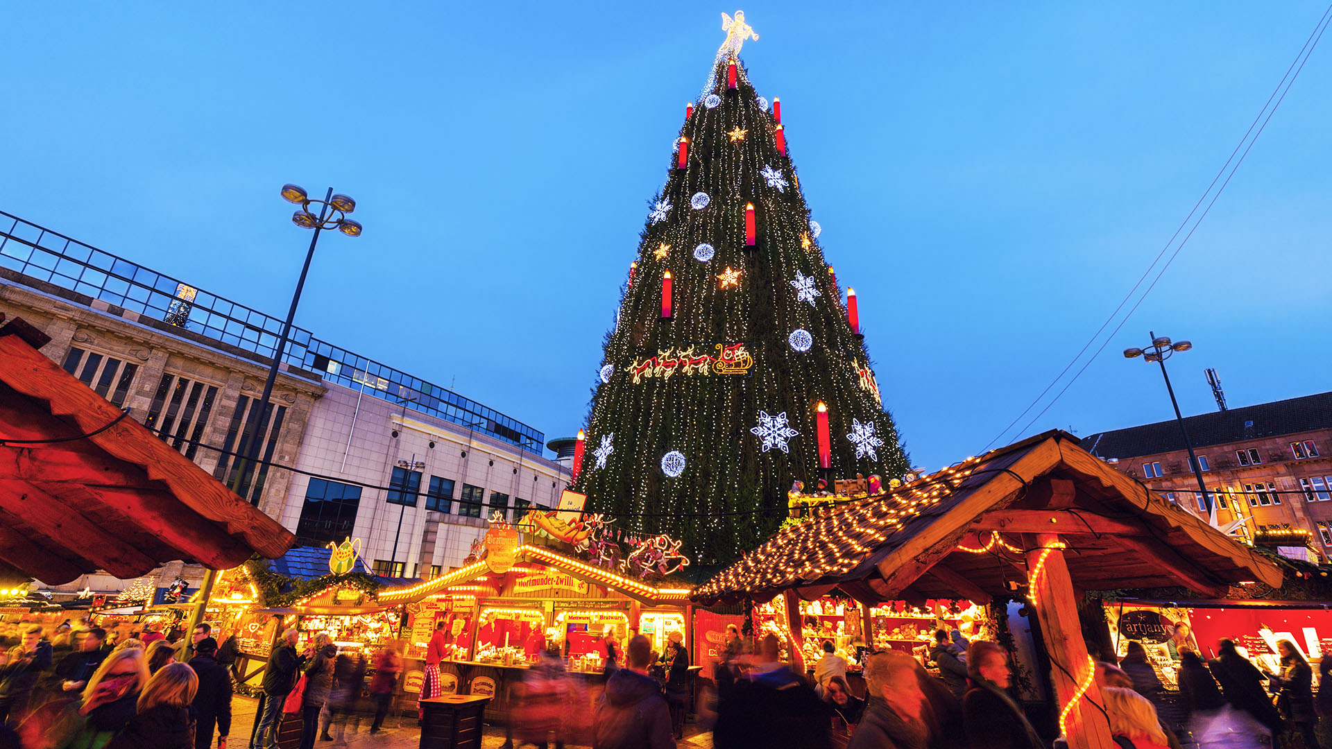 Impressive Christmas trees from around the world