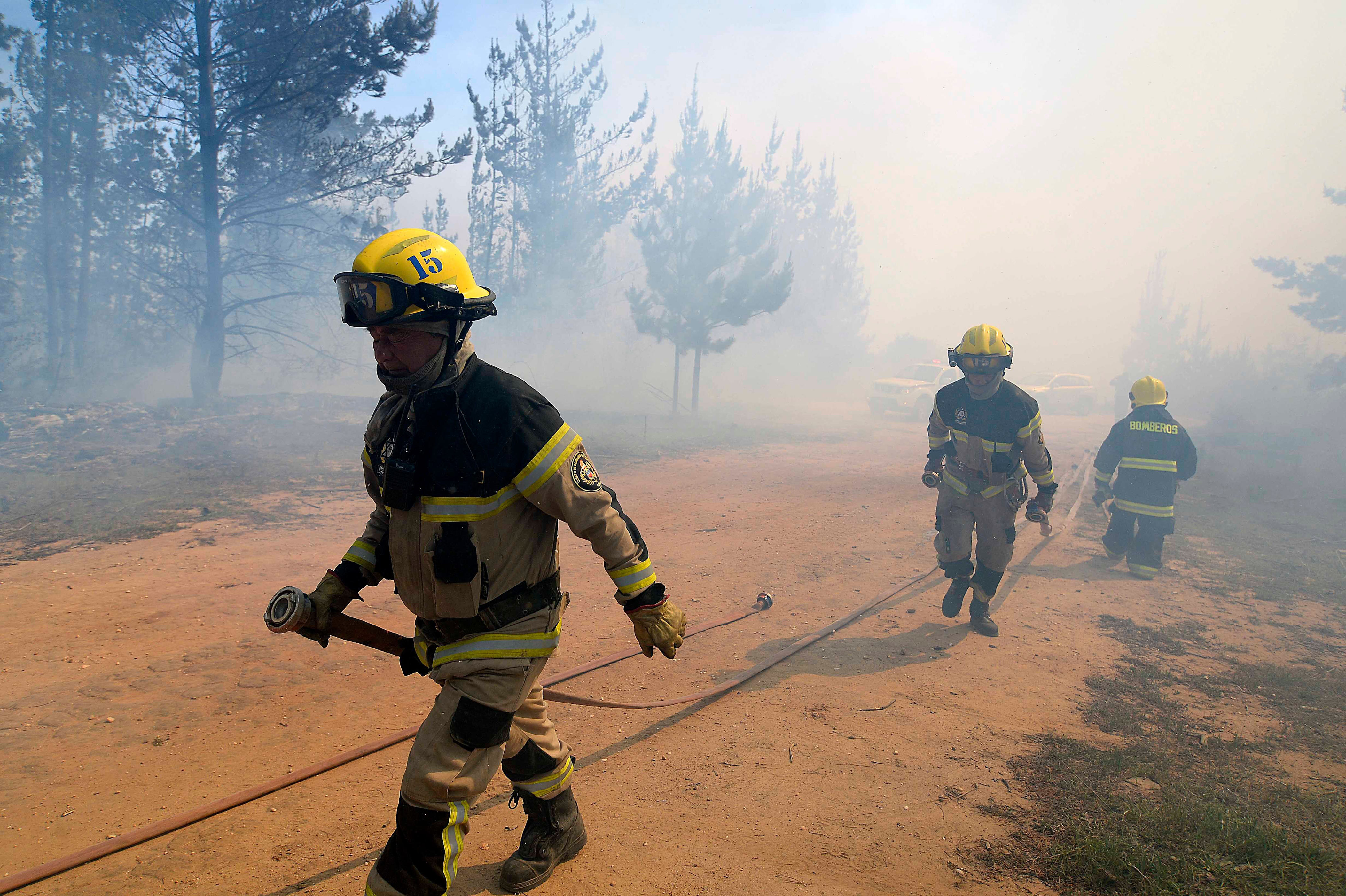 combaten incendio forestal en quilpué: siniestro ha afectado al menos 15 hectáreas