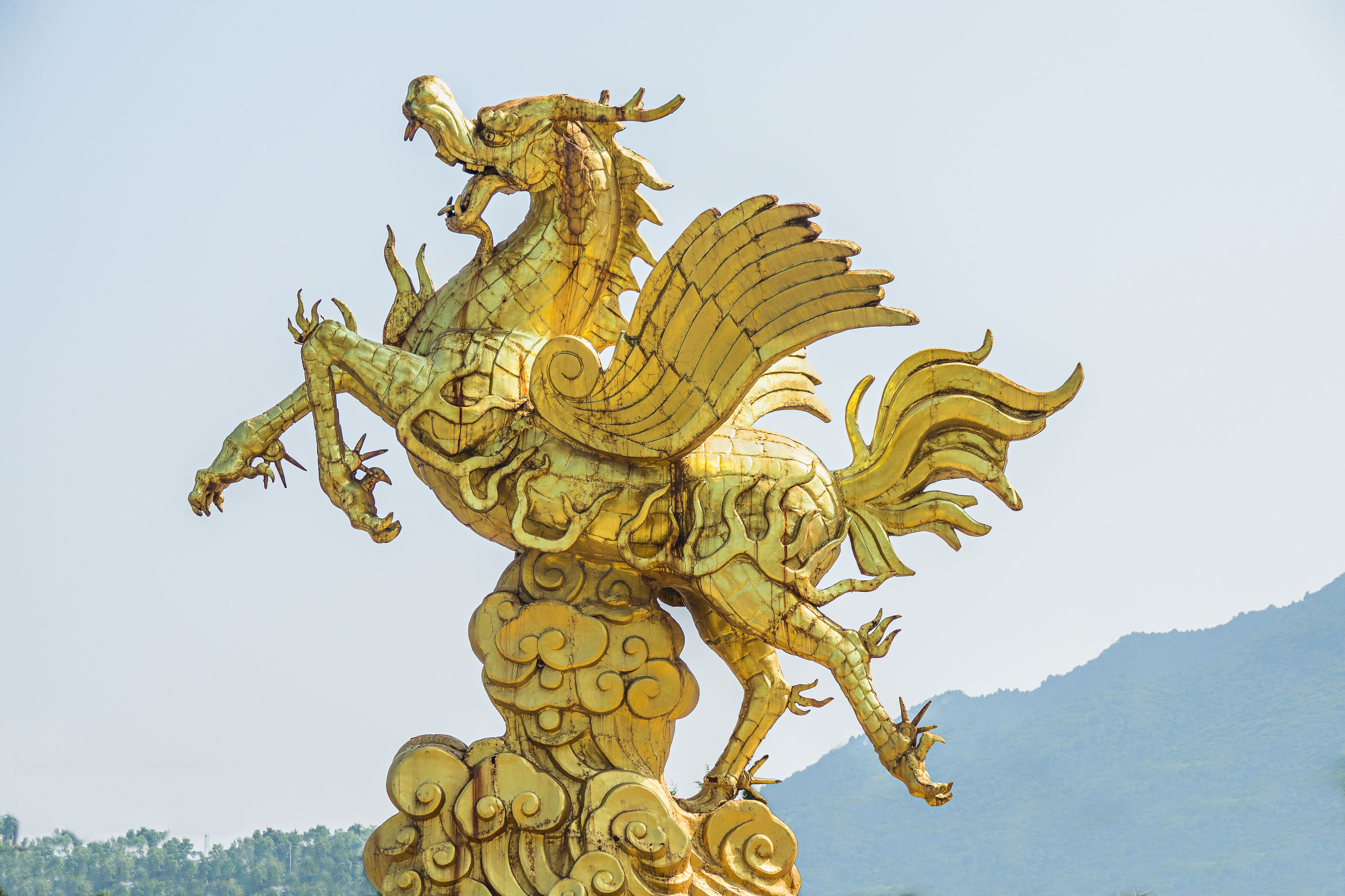 Деревянный дракон какой год. Деревянный дракон. Золотой дракон статуя. Честь дракона. Золотой деревянный дракон.