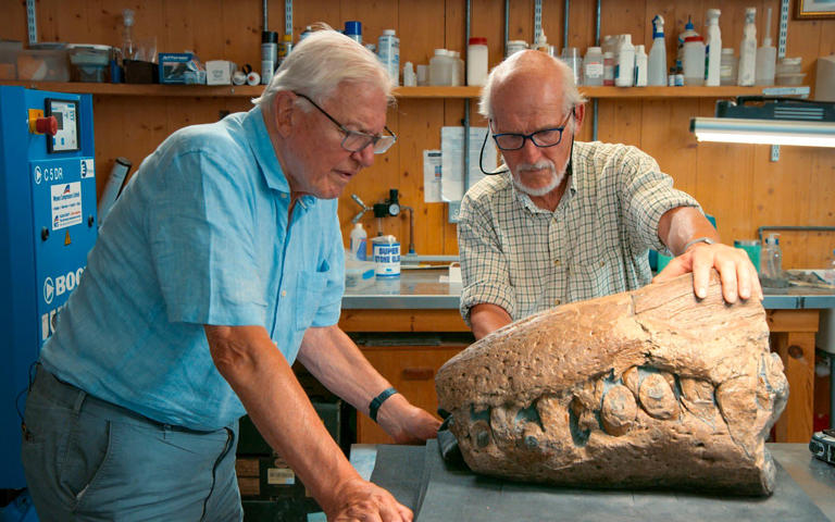Sir David Attenborough and Steve Etches have hailed the 'exciting' pliosaur discovery - BBC Studios