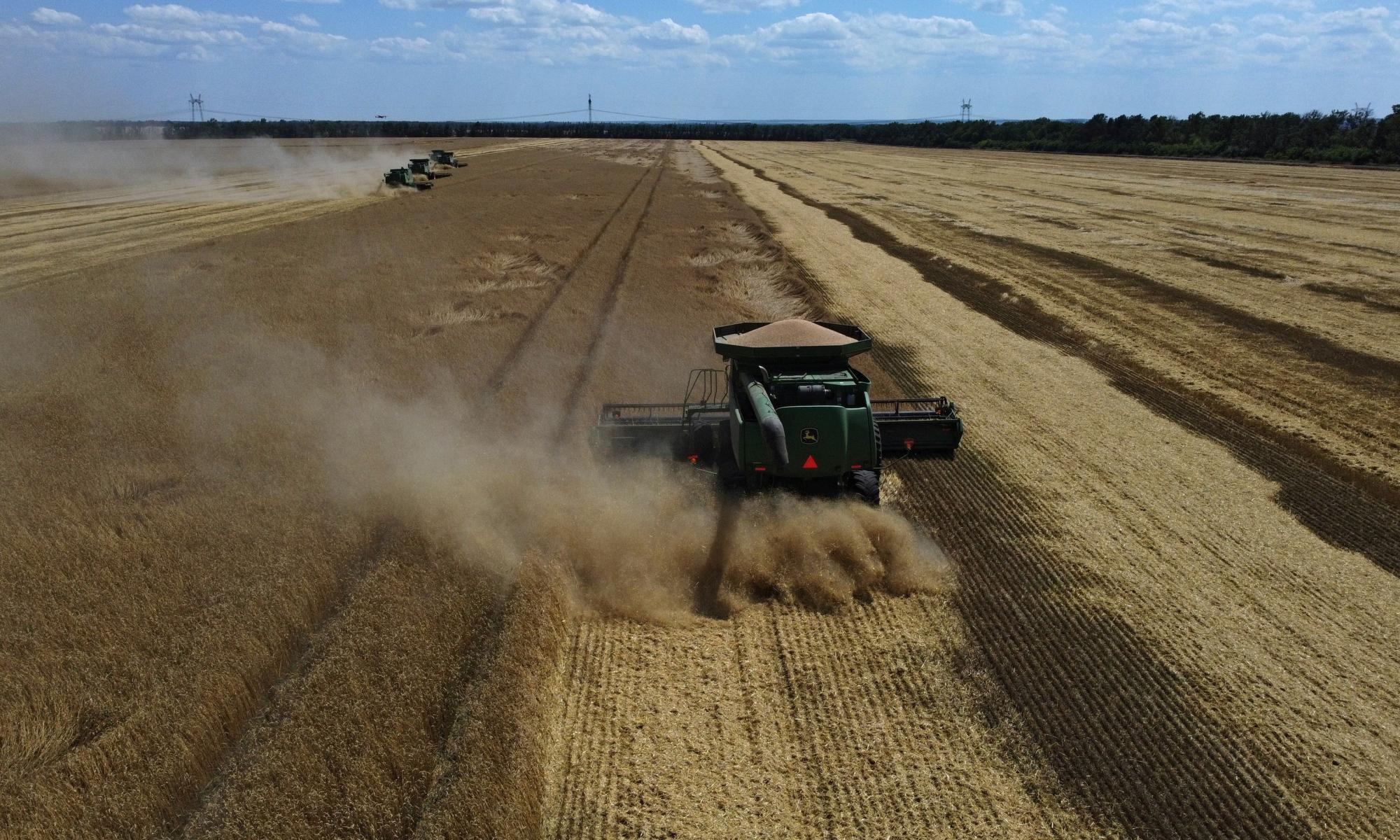 ‘Forged Documents’: How Ukrainian Grain May Be Enriching Putin’s Circle