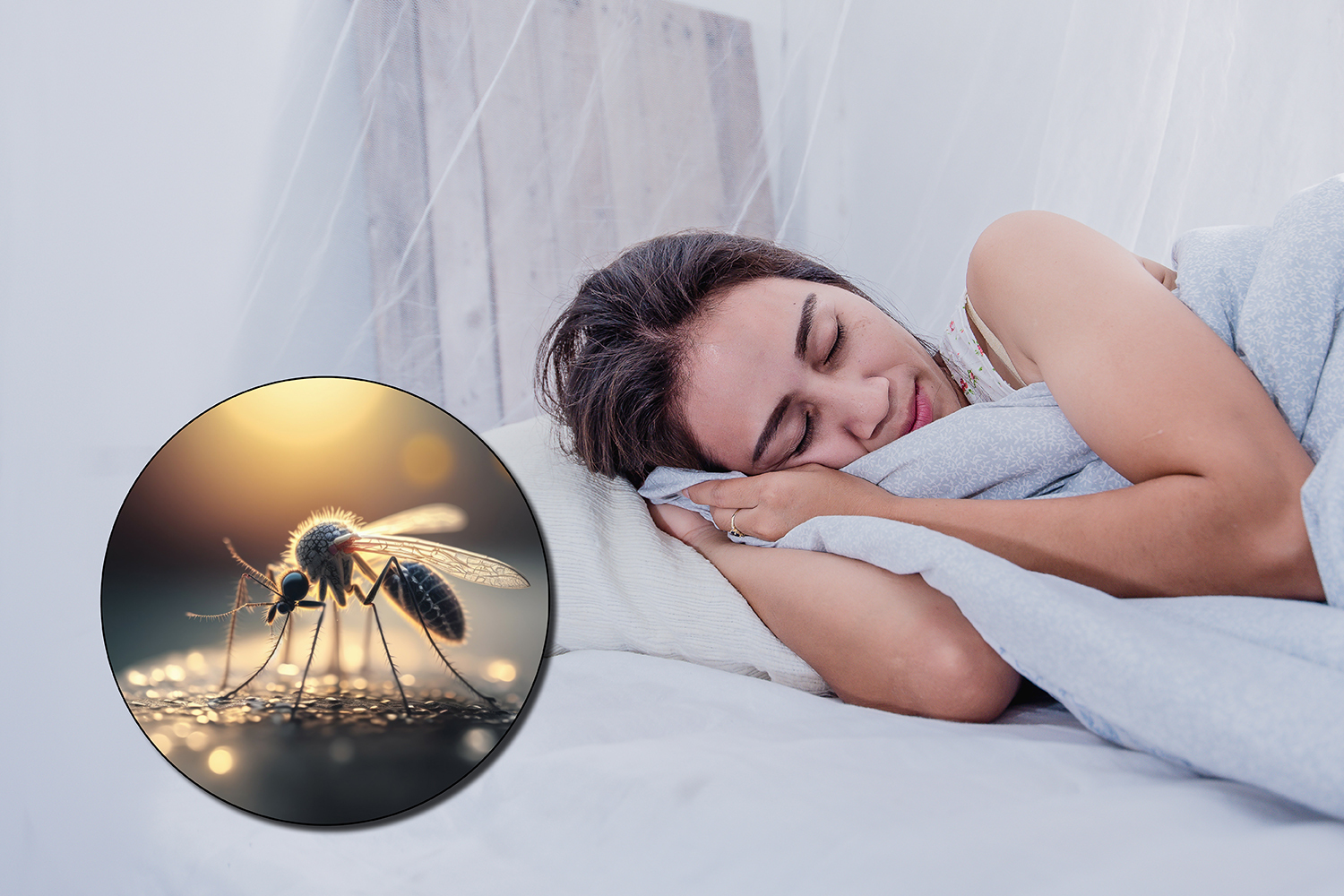 Dengue Fever: Dangerous Mosquito-borne Disease Could Arrive In England ...