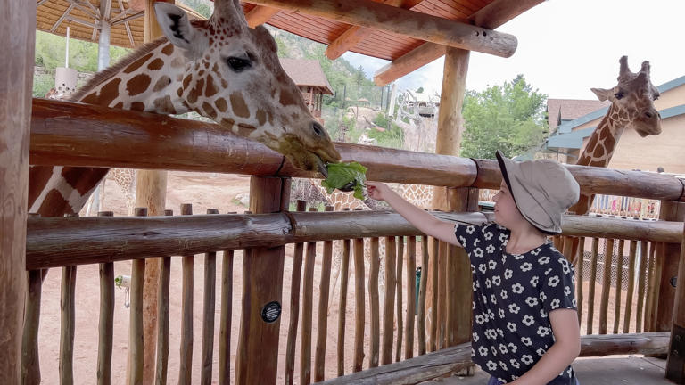 Top 10 Zoos to Visit in the US