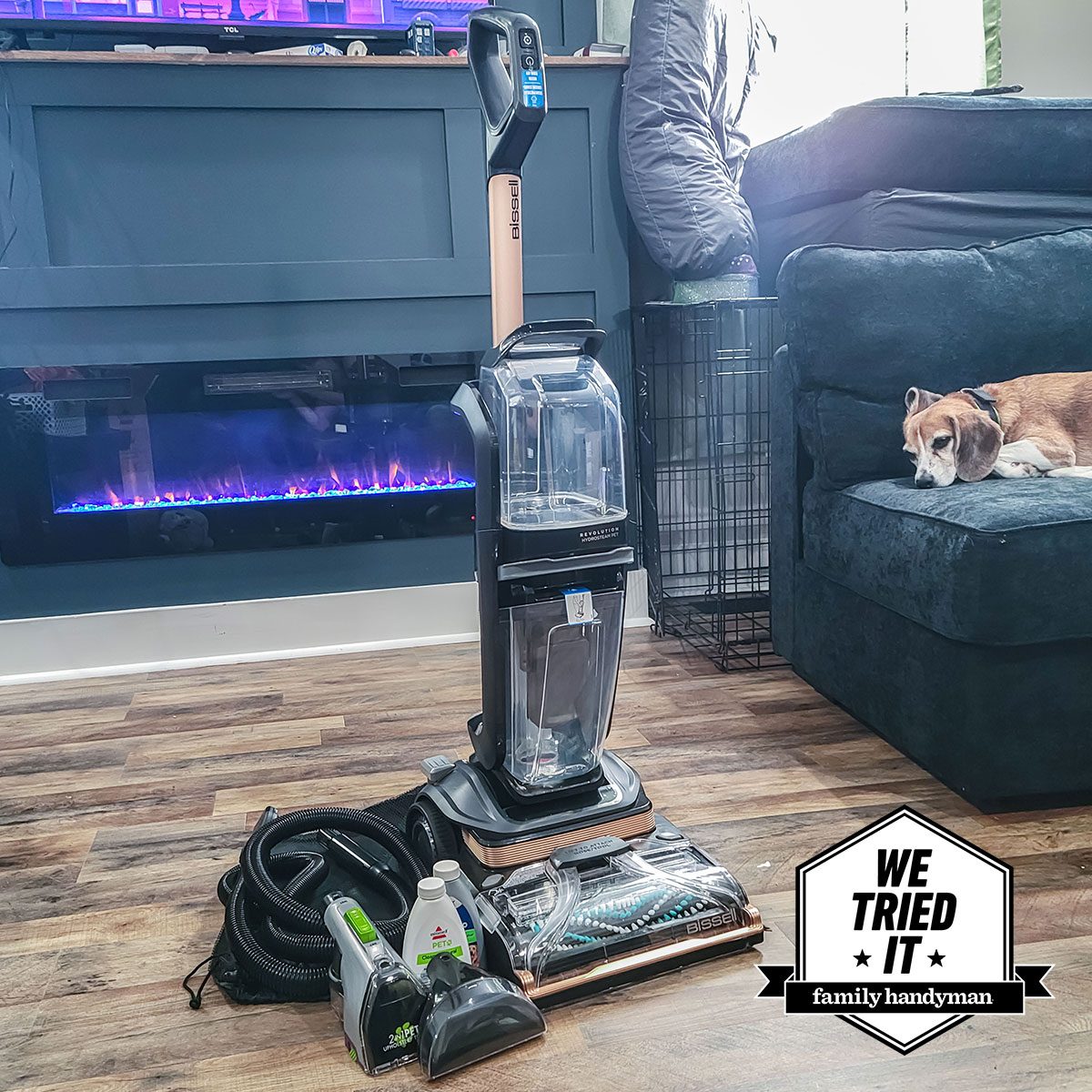 The 5 Best Carpet Cleaners for Pet Stains, Tested and Reviewed