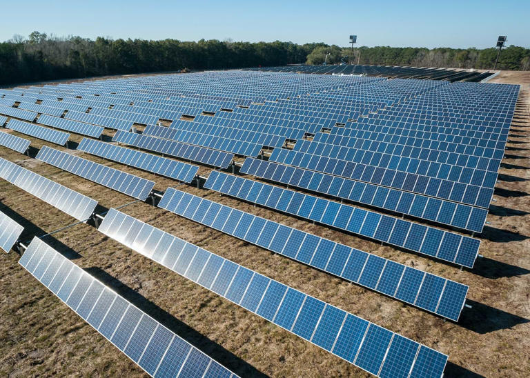 O que é fazenda solar, como funciona e vantagens