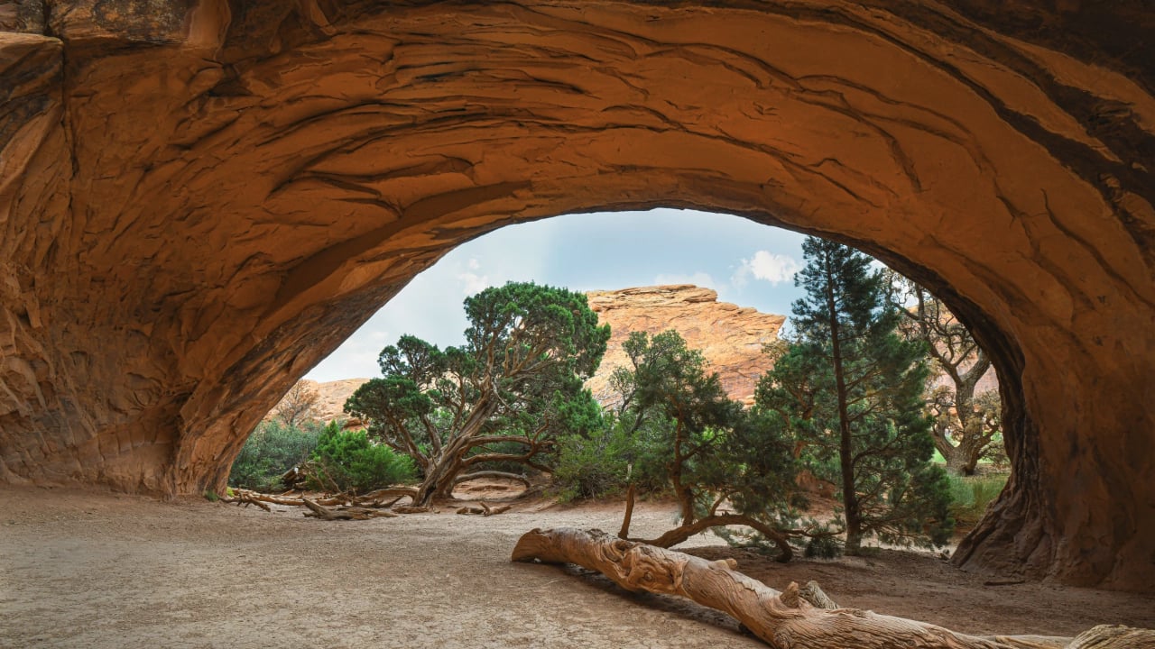 <p>Situated in <a href="https://wealthofgeeks.com/national-parks-in-utah/">Utah’s</a> captivating landscape, <a href="https://www.extraholidays.com/moab-utah/the-moab-resort-worldmark-associate?Identifier=psearch&utm_medium=referral&utm_source=google.com-local&utm_campaign=yext&utm_content=moabresort" rel="noopener">The Moab Resort</a> is a perfect spot for those seeking a unique ecotourism vacation where they can learn all about bats. Initially met with concerns and complaints about the resident bat population, The Moab Resort responds by launching an educational initiative. The resort enlightens guests about bat conservation and implements practices to protect their habitats. To engage young guests, the resort encourages them to “name” the bats during their stay, transforming these enchanting creatures from potential nuisances into beloved inhabitants. This thoughtful approach creates a captivating adventure that fosters a well-deserved appreciation for bats. </p><p>Moab has 150 distinctive vacation club suites, offering accommodations with partial or full kitchens, private bedrooms, separate living and dining areas, a washer/dryer, a fireplace, and a balcony. These suites provide the perfect retreat after a day of outdoor activities like hiking, biking, or whitewater rafting. </p>