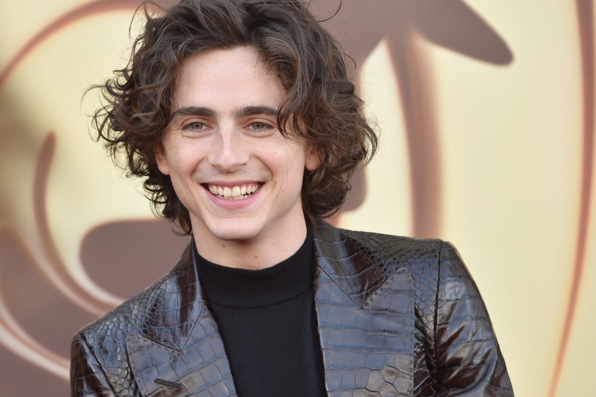 Golden Globes 2024 découvrez toutes les nominations pour la prochaine