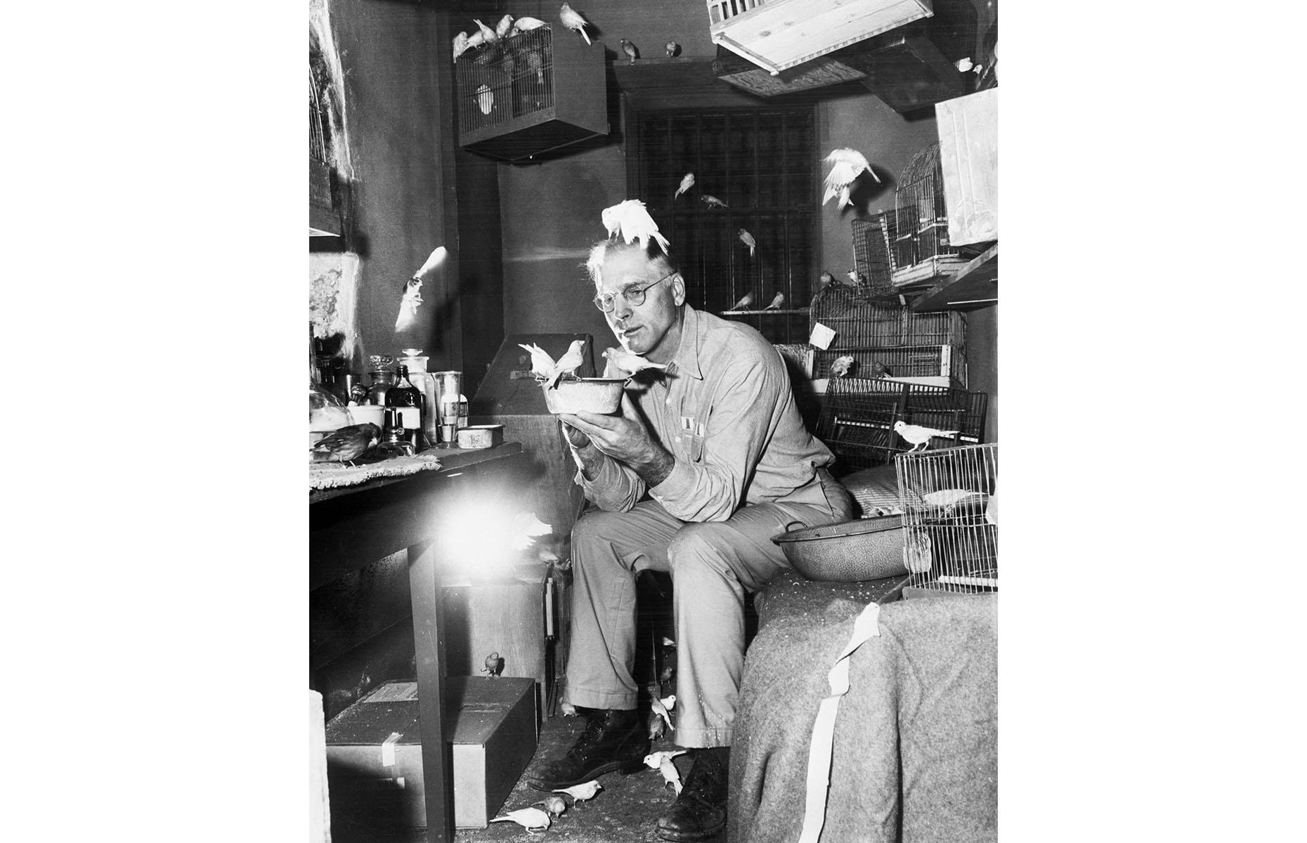 <p>Stroud used his years at Leavenworth to become a self-taught and apparently excellent ornithologist, keeping, breeding and studying birds and writing two books about canaries and their diseases. But when he came to Alcatraz in 1942 he had to leave all his birds and equipment behind. In this photograph, he's being portrayed by actor Burt Lancaster in the 1962 film <em>The Birdman of Alcatraz </em>– although some of Stroud's fellow inmates took issue with the film's grandfatherly portrayal. He eventually died in 1963.</p>