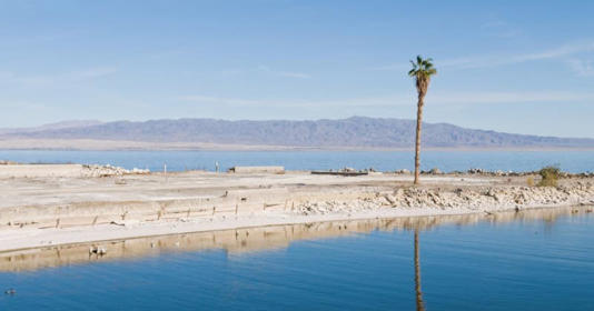 The Salton Sea is the largest lake in California. By: MEGA