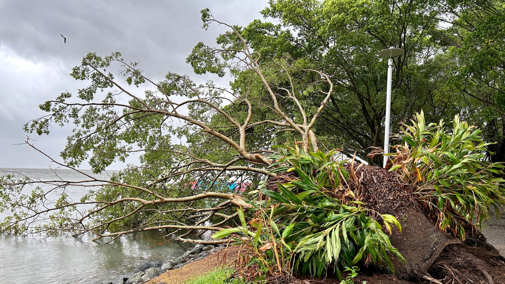 Tropical Cyclone Jasper Live Updates: System Expected To Cross ...