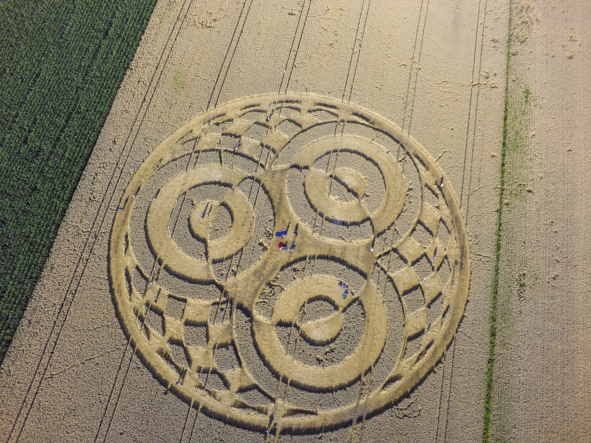 Kornkreise: Was wissen wir über dieses mysteriöse Phänomen?