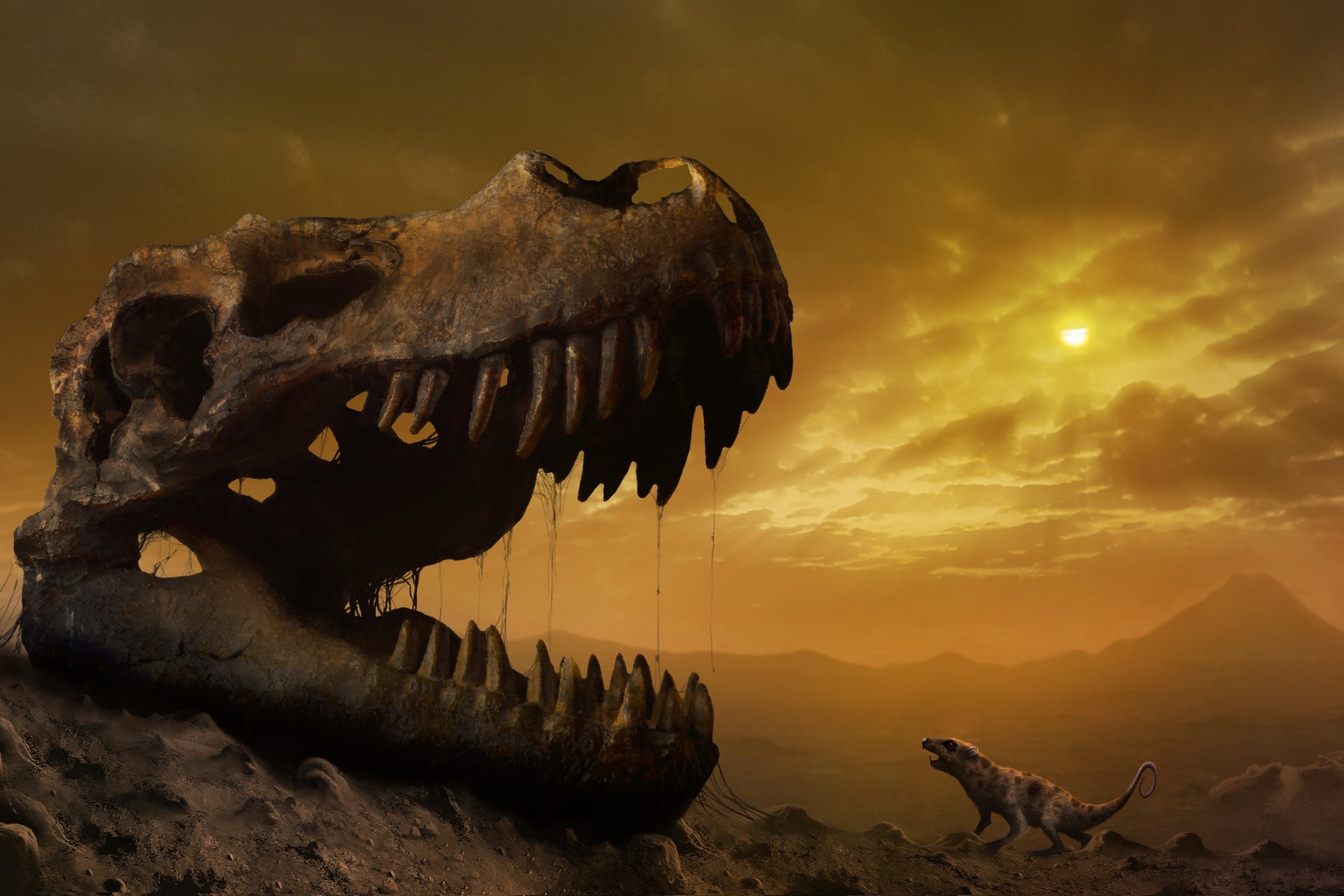 Un nuovo studio sui dinosauri