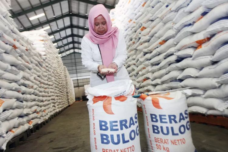 Guru Besar IPB Sebut Kenaikan Produksi Beras Nasional 2024 Berpotensi ...