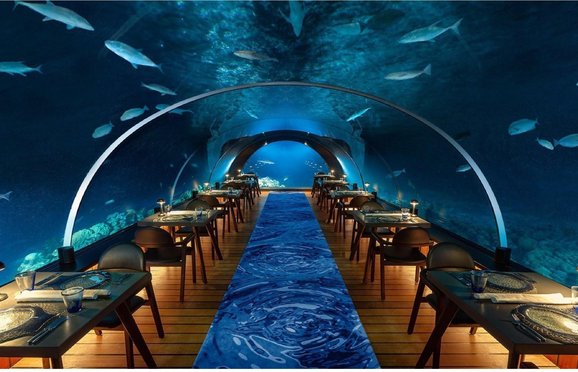 Ресторан 5 8 Undersea Restaurant