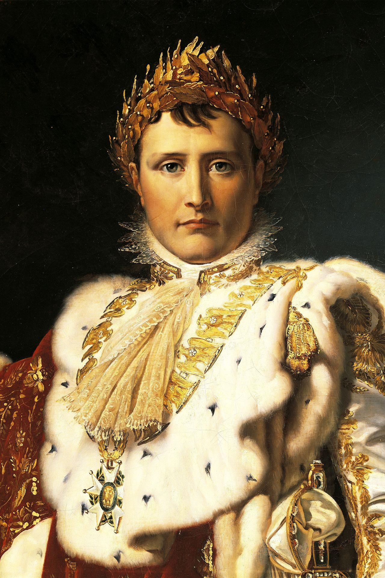 Napoleon's greatest battles and other facts of his life