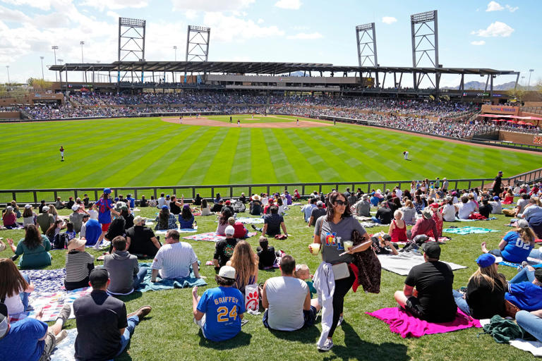 Are MLB spring training ticket prices too expensive? How much it costs