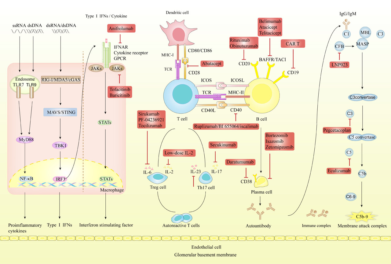 Review Highlights The Challenges And Recent Advances In Targeted ...