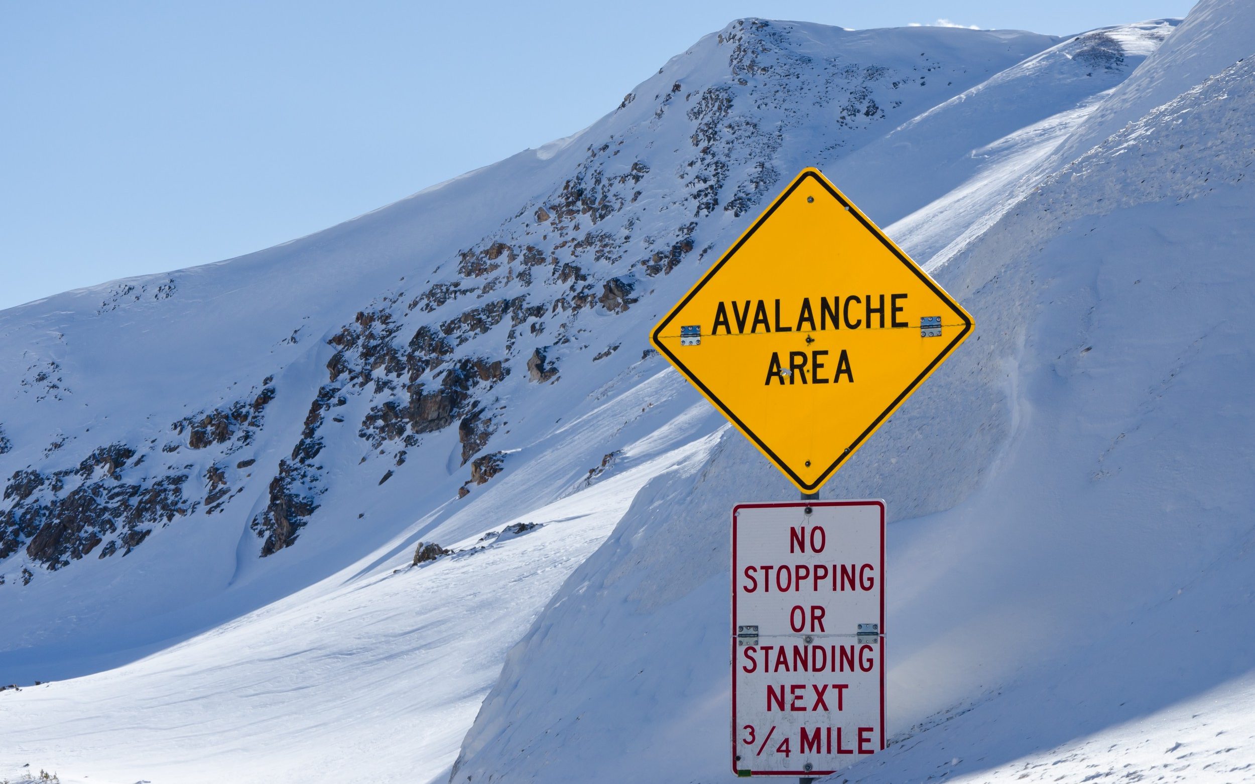 How to stay safe from avalanches when skiing everything you need to know