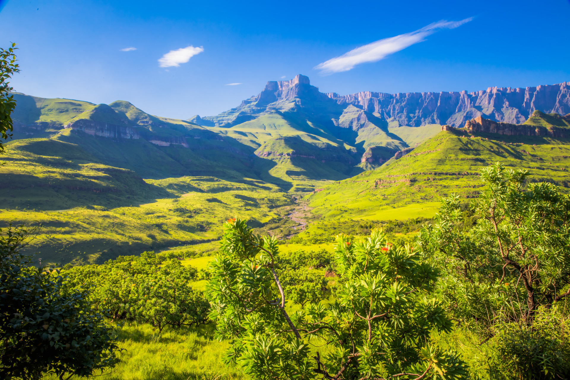 <p>KwaZulu-Natal's natural wonders extend to a pair of UNESCO World Heritage Sites—the magnificent iSimangaliso Wetland Park and the majestic uKhahlamba-Drakensberg National Park (pictured). Expect sightings of lions, cheetahs, elephants, giraffes, and black rhinos, among other splendid beasts.</p>