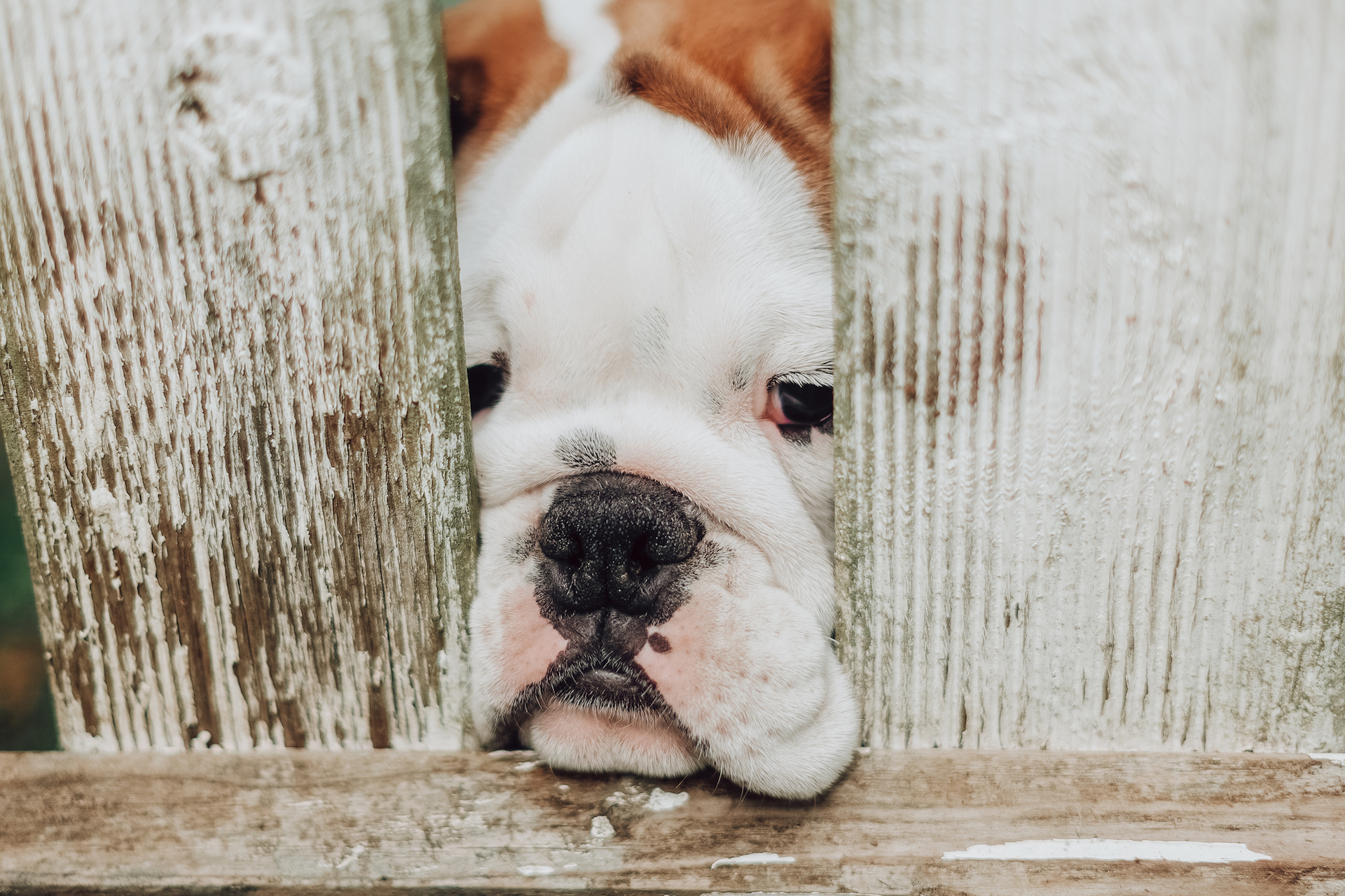 City expects growth with 2024 budget