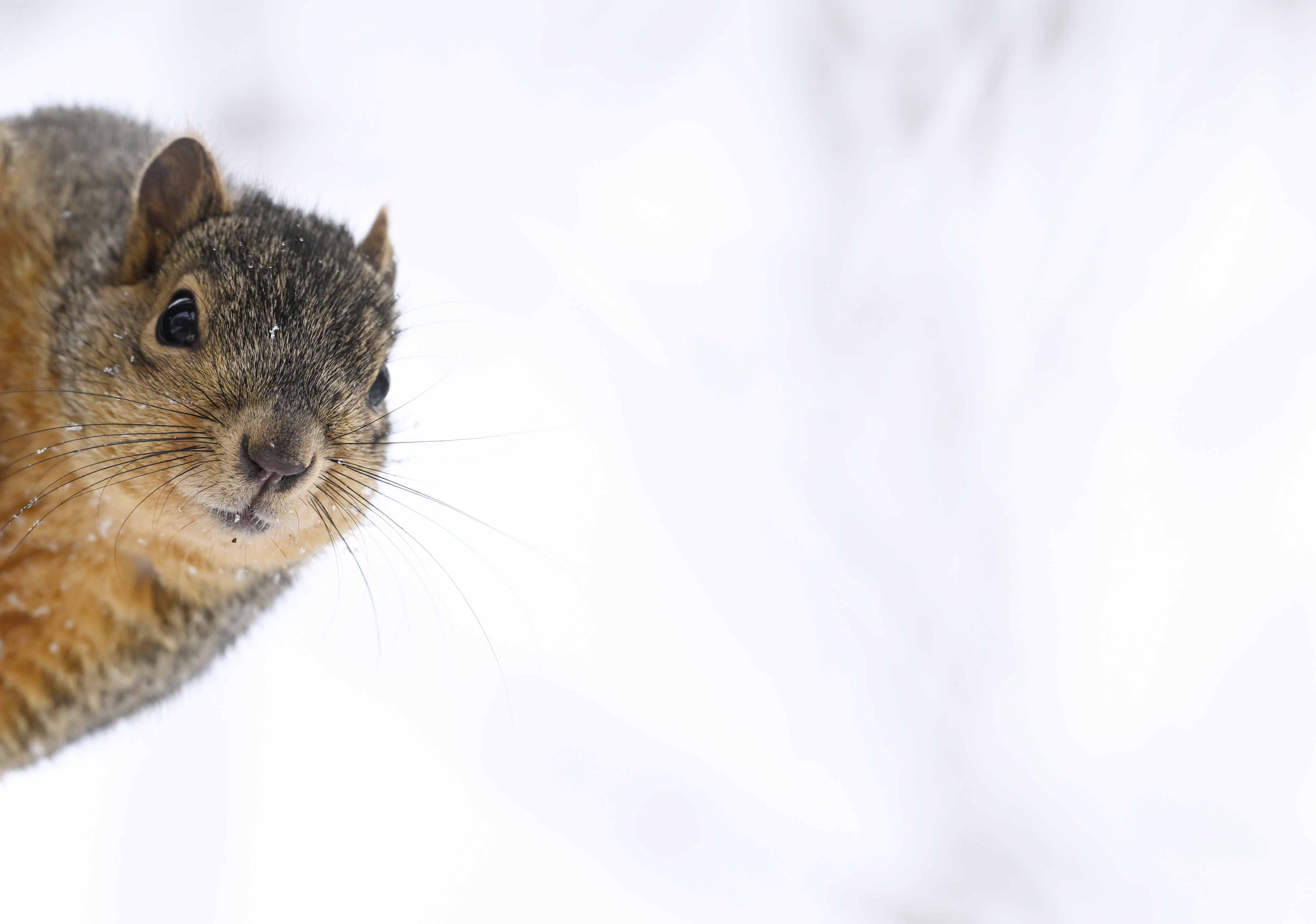 Colorado Snow Totals For December 13, 2023