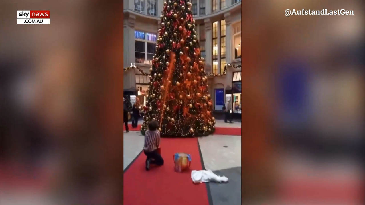 climate activists vow to destroy more christmas trees in latest demonstration
