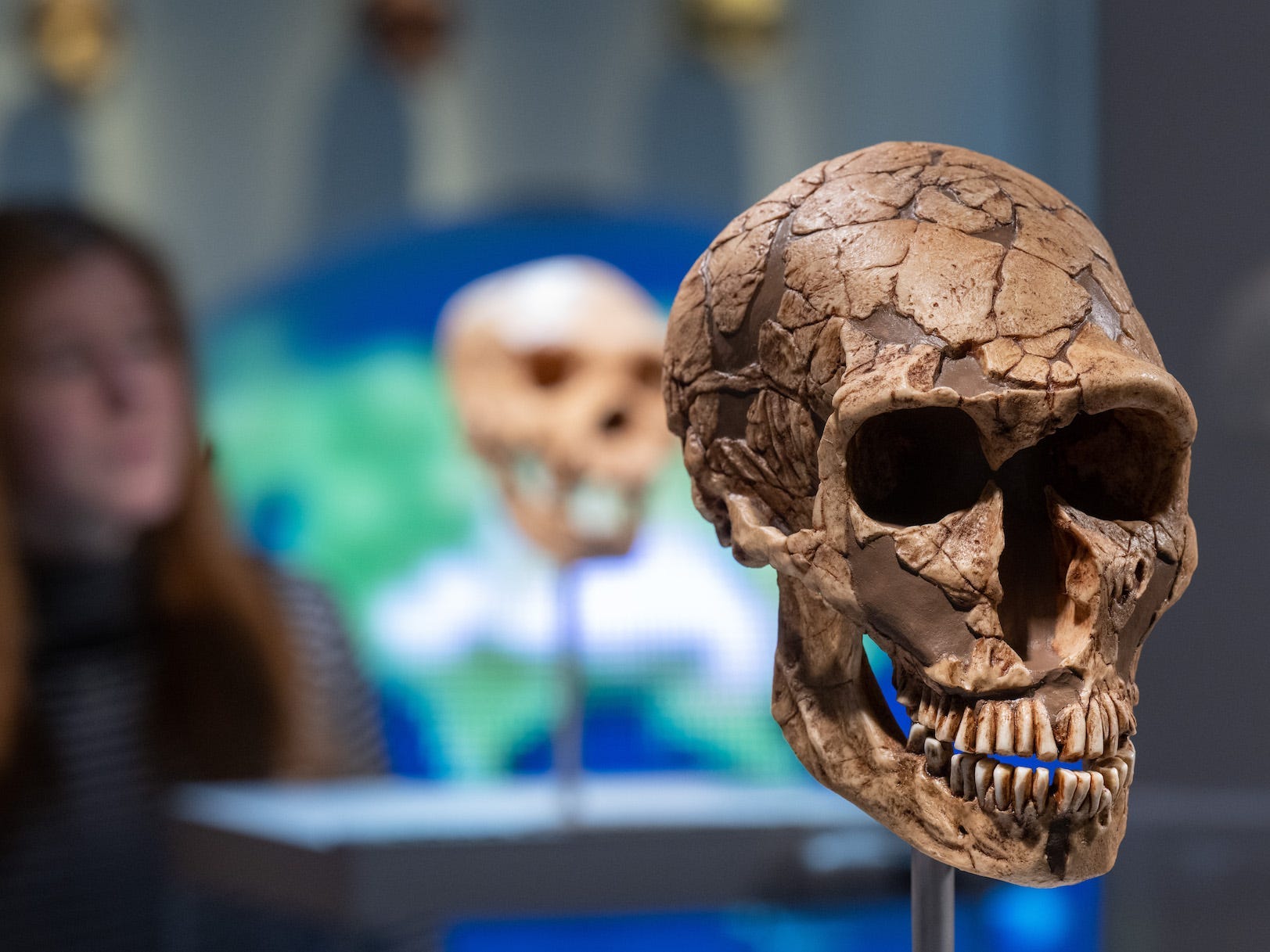 'intellectually inferior' humans caused neanderthals to go extinct, a new book claims