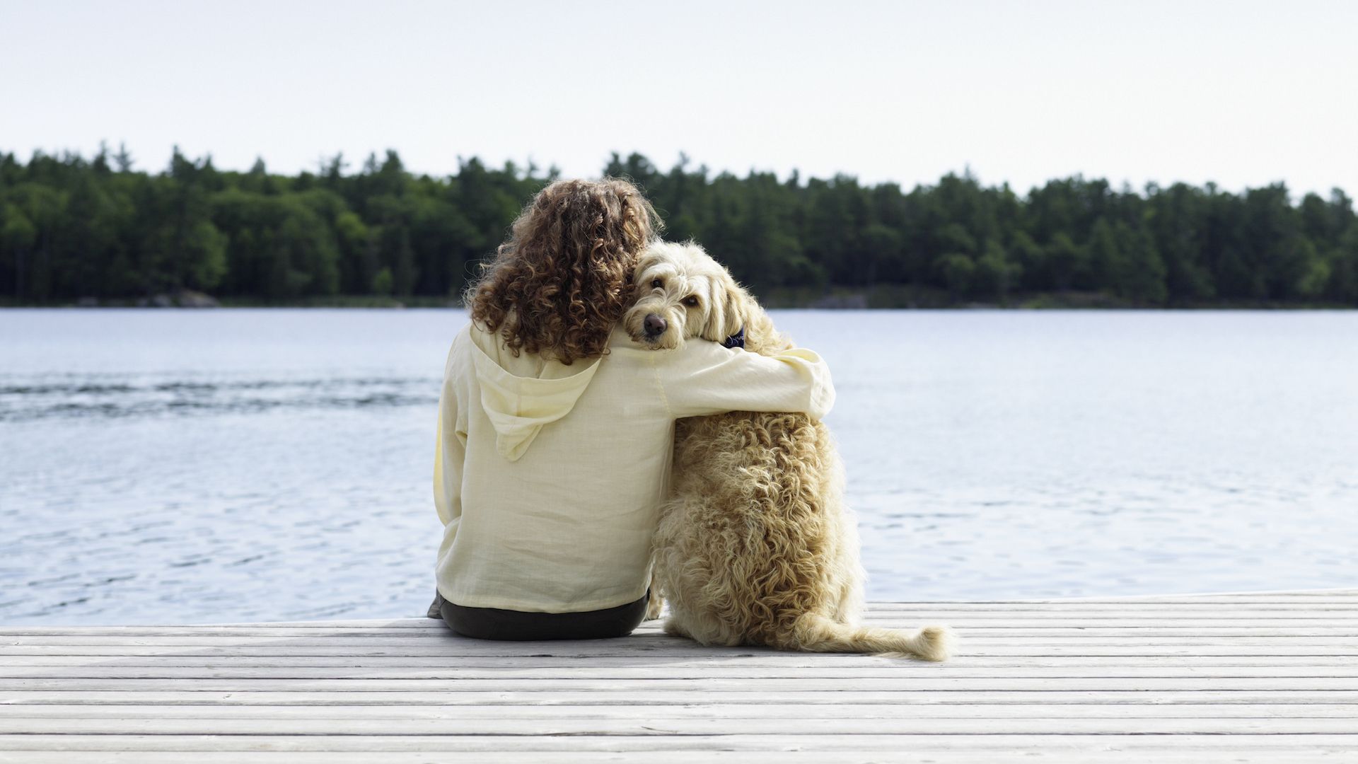 32 best things about owning a dog