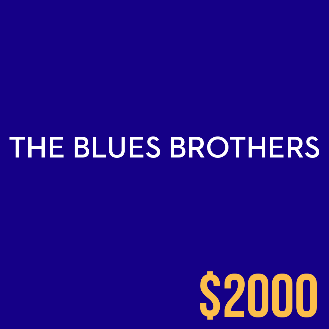 <p><em>The Blues Brothers</em></p>