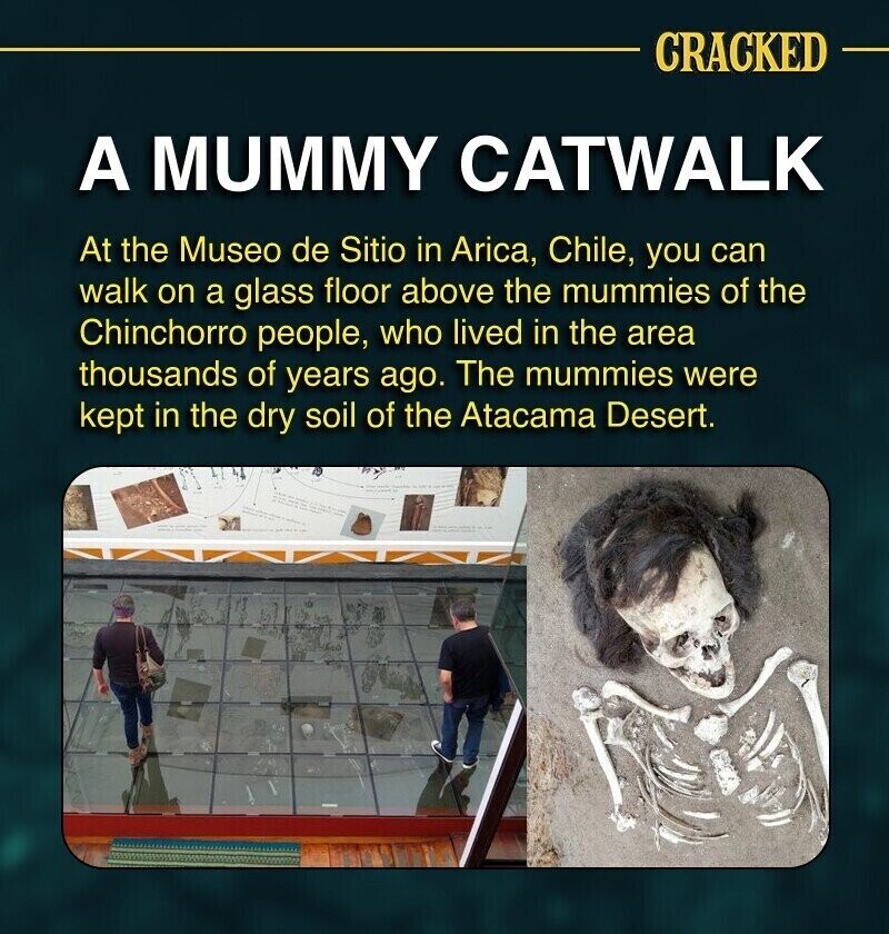7. Walk on glass, learn about mummies.