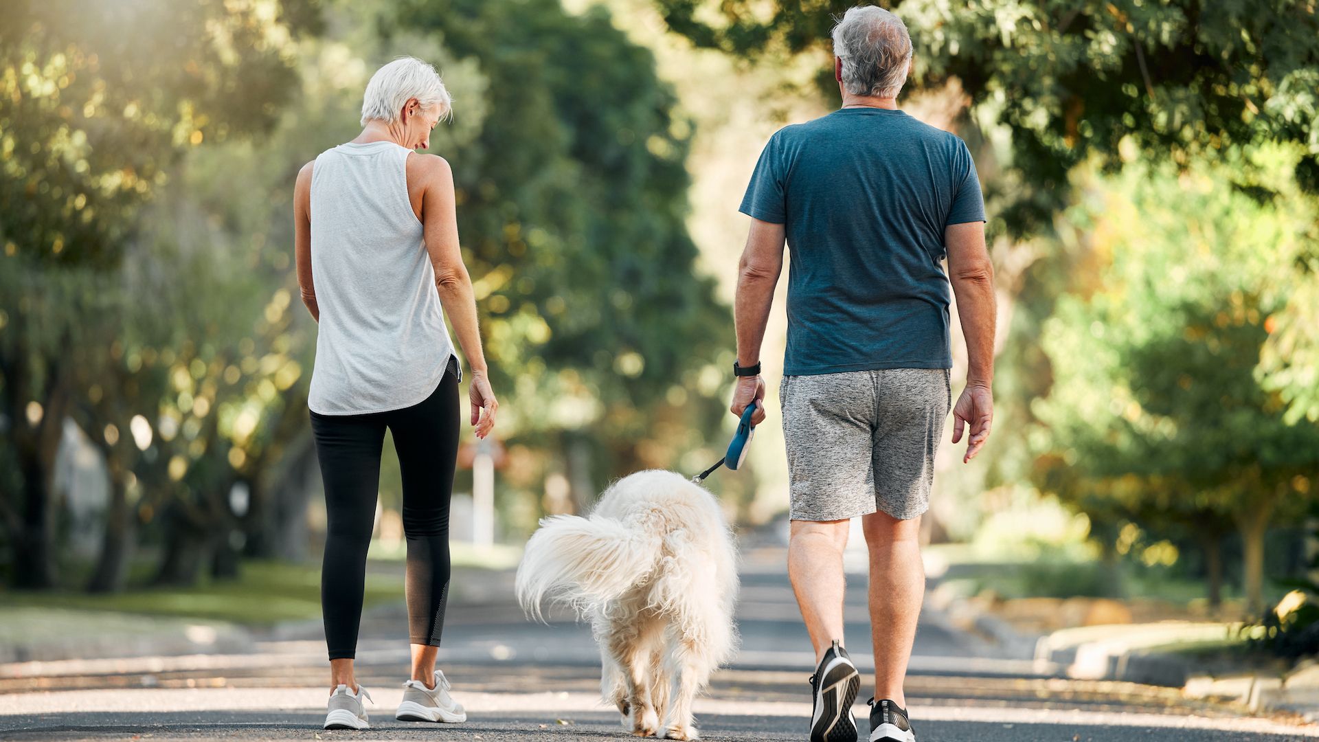 <p>                     Owning a dog can not only reduce your risk of dying young, but can also make senior people seem 10 years younger, according to a <a href="https://news.st-andrews.ac.uk/archive/ten-years-younger/#:~:text=Owning%20a%20dog%20makes%20older,younger%20than%20their%20biological%20age." rel="nofollow">study at Scottish University St Andrews</a>. This is largely due to the increased exercise levels (regardless of the distance covered) compared to your peers, and the fact that a dog ensures you get out and about in the fresh air, and staying mobile.                   </p>