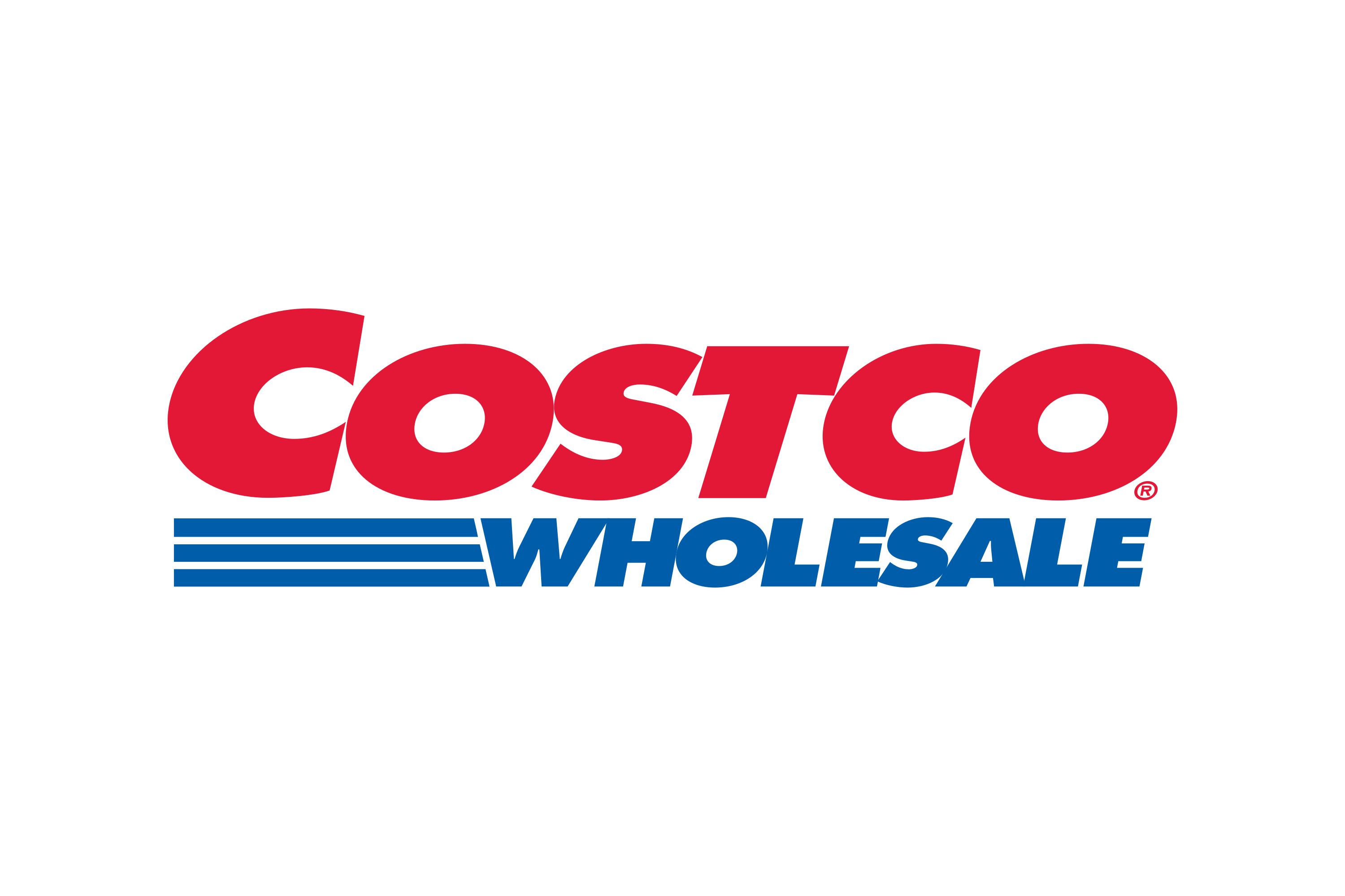 costco kirkland signature driver goes on sale