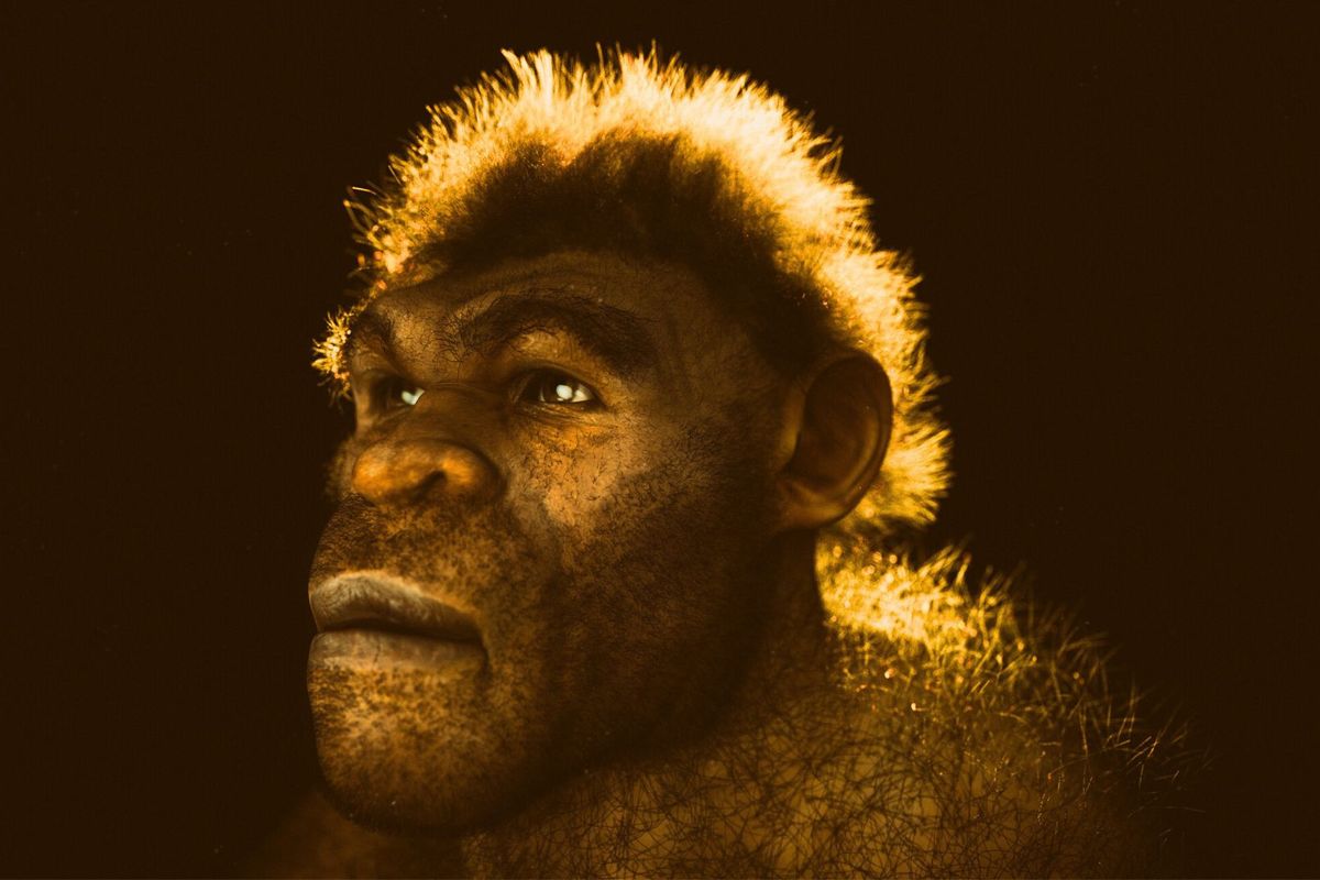 Neanderthal Genes Make You A Morning Person: Study