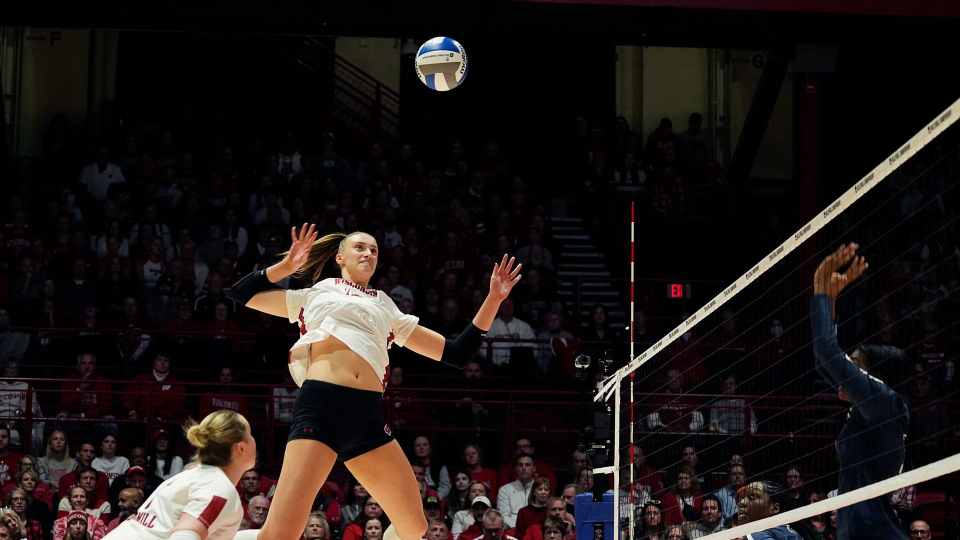 Wisconsin Volleyball: Badgers Falter In Final Four To Dominant Texas ...