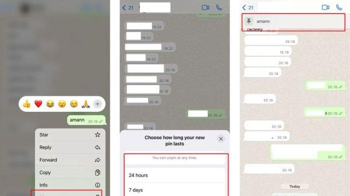 android, cara menyematkan pesan di wa,starred message dan pinned chat whatsapp,tak perlu scroll obrolan