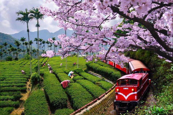 2023台灣最強觀光景點排行榜》觀光署最新統計數據出爐：遊樂園、老街冠軍令人跌破眼鏡