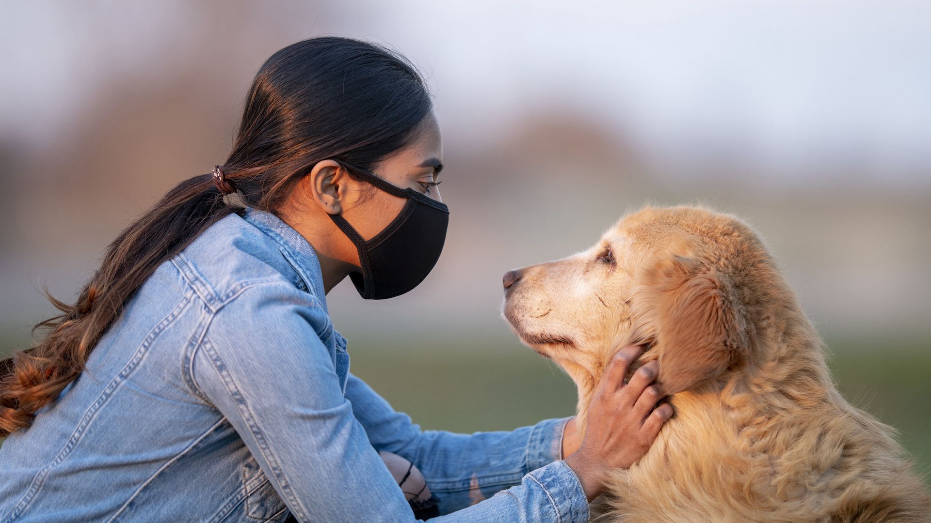 <p>                     Some humans are allergic to dogs, and they don’t always know this until they have to share a house with one. Dogs that shed a lot of hair, and dander, will be more likely to trigger an allergic reaction, while the so-called hypoallergenic dogs such as Poodles, may be less troublesome.                   </p>