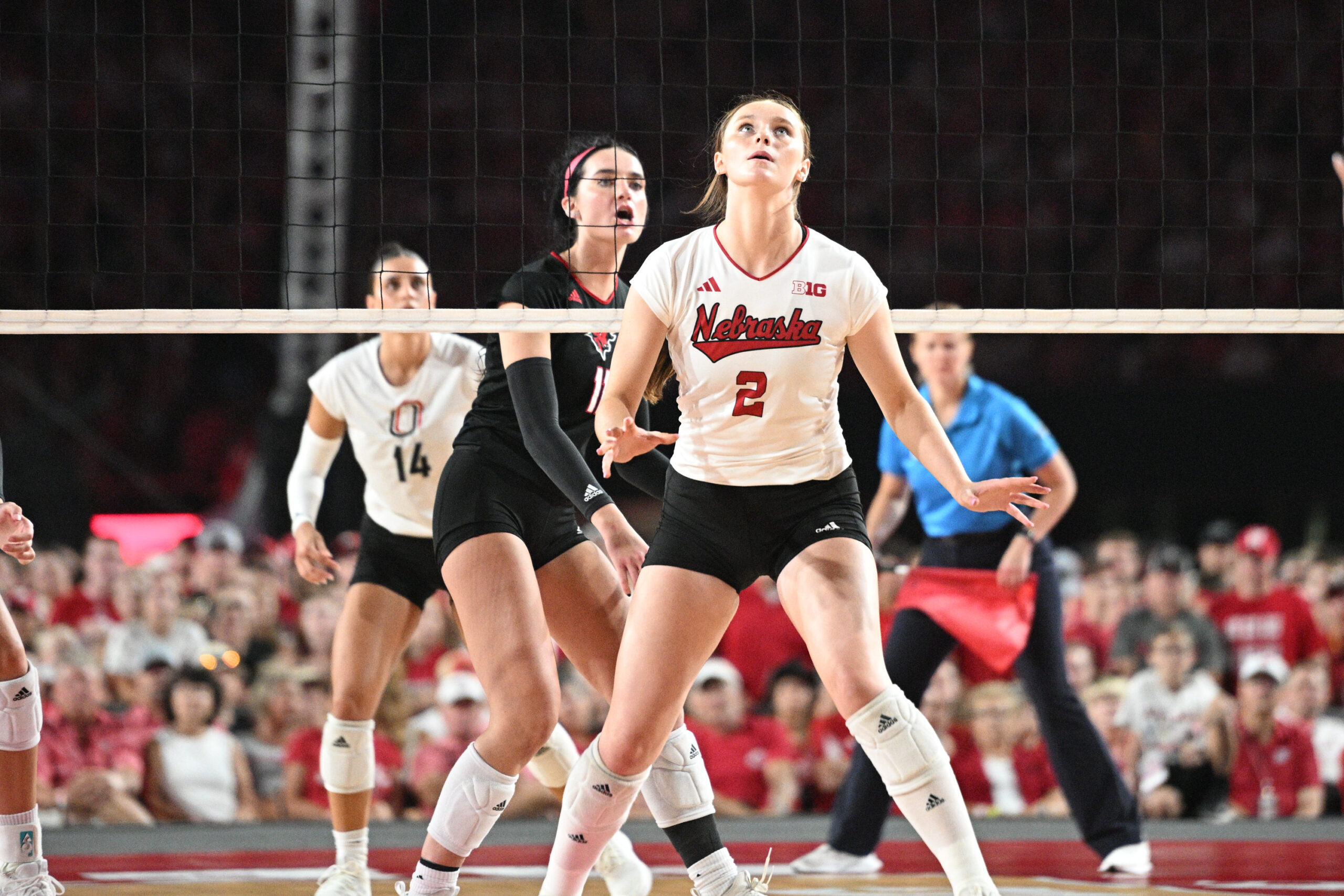 Freshmen Setters Ella Swindle And Bergen Reilly Highlight NCAA ...