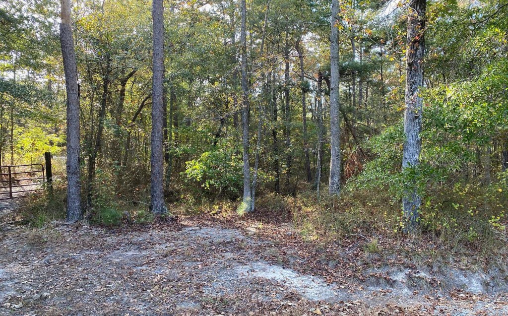 The Eerie Legend Of The Devil’s Tramping Ground In North Carolina Where ...