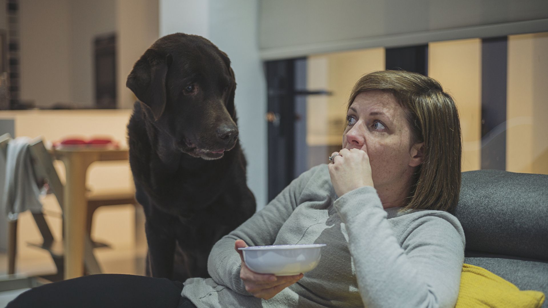 <p>                     Dogs tend to be greedy. It’s not endearing to have your dog lovingly gaze up at you while you’re eating; they just want your grub. Some have the even more annoying habit of whimpering. Do not give in!                   </p>