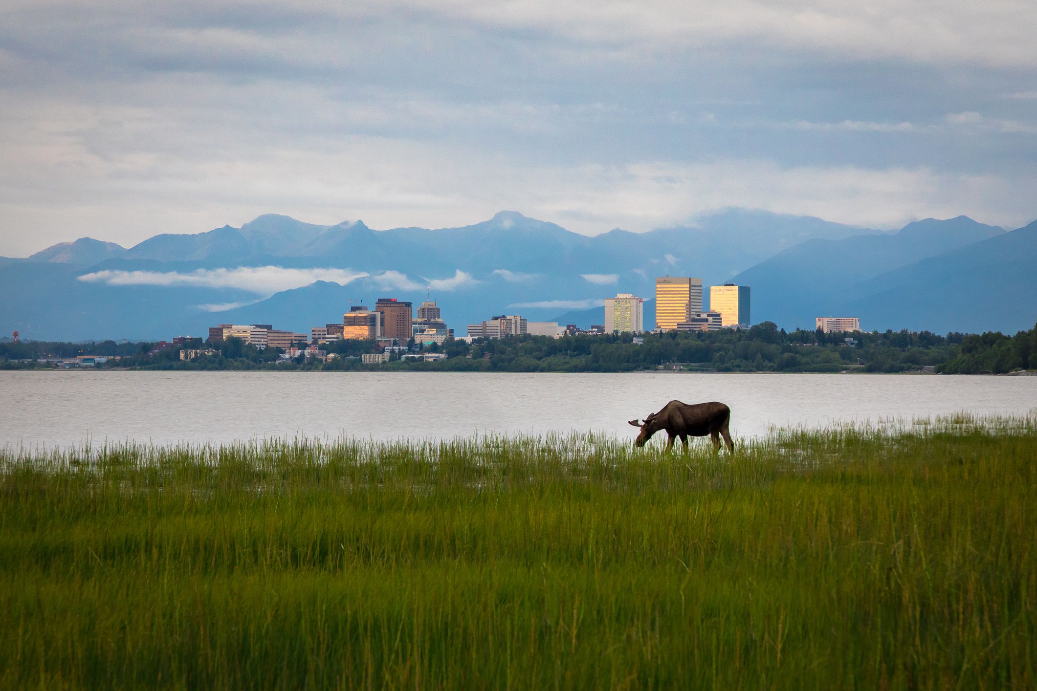 <p>Anchorage sits at the end of the Cook Inlet, right where it forks into two arms. If you want easy access to the coast but don’t want to give up the perks of big-city living — restaurants, breweries, shopping, museums, and more — then Anchorage is the spot for you.</p><ul><li>Population: 287,145</li><li>Median Household Income: $88,871</li><li>Cost of Living: 126.7% of U.S. average</li><li>Median Rent Price: $1,350</li><li>Home Price-to-Income Ratio: 3.69</li><li>Average Property Tax: 1.41%</li></ul><p class="padding-top-ms u-margin-bottom-ms"><b>Housing Affordability: </b>Living in Anchorage has its perks, but you’ll pay for those. The median cost of rent is $1,350, and the median home price is more than $325,000.</p>