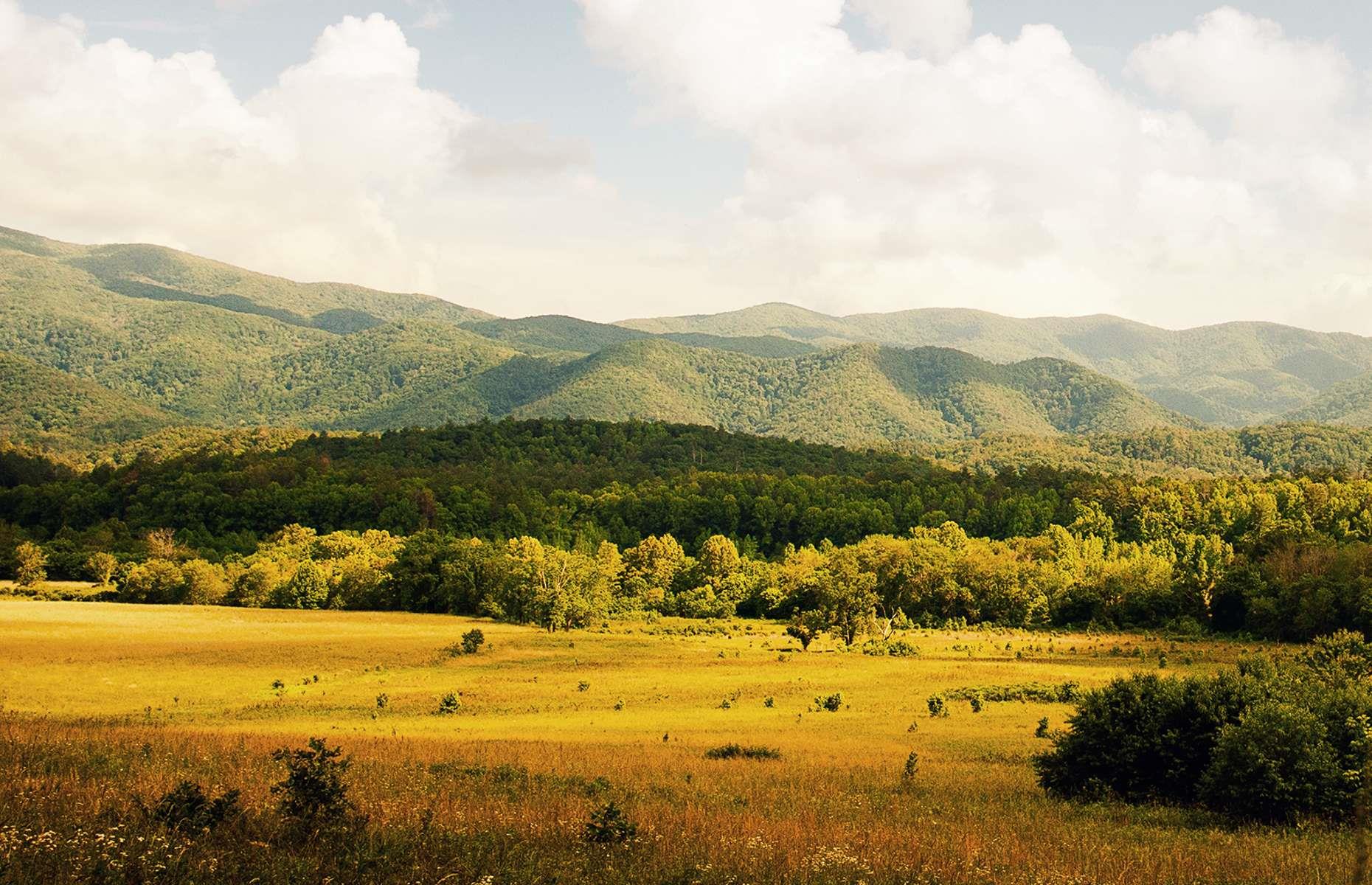 <p>Cades Cove is a picturesque valley in the Tennessee portion of the national park and one of its most popular destinations. It provided important hunting opportunities for the Cherokee before being settled by Europeans between 1818 and 1821. The population grew to 271 by 1830; some of the now-abandoned homesteads remain intact today and can be seen on a self-guided tour. This is also one of the top places in the park for wildlife watching: look out for white-tailed deer, black bears, coyotes, raccoons, skunks, and groundhogs.</p>