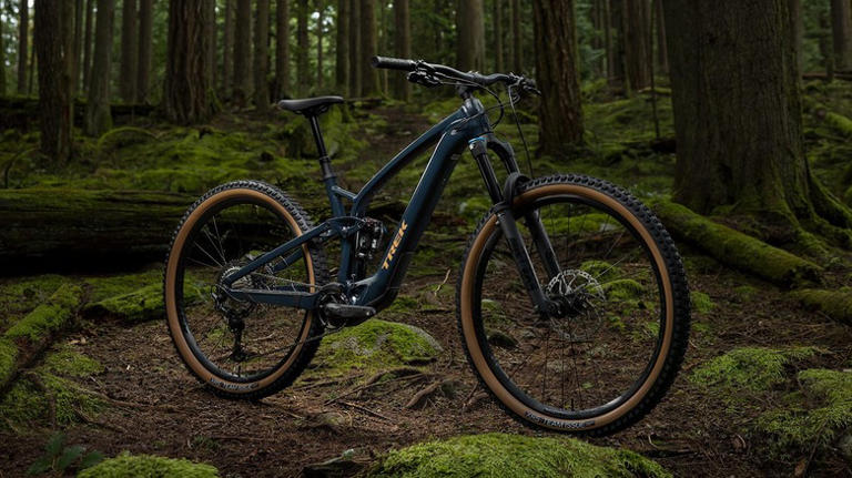 Every Major Ebike Brand Ranked Worst To Best